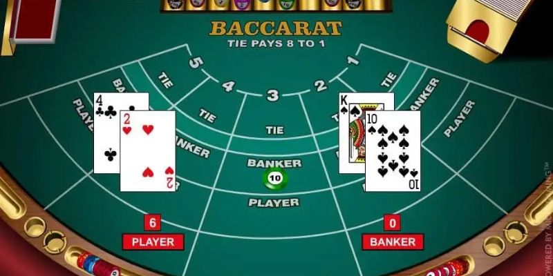 Thành viên không được bỏ qua quy luật rút bài khi chơi Baccarat